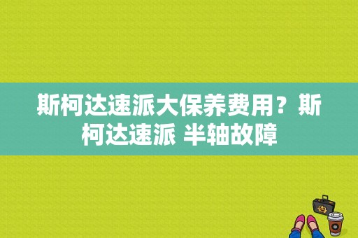斯柯达速派大保养费用？斯柯达速派 半轴故障-图1