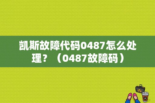 凯斯故障代码0487怎么处理？（0487故障码）-图1