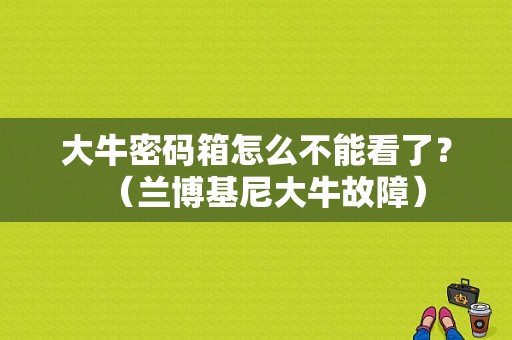 大牛密码箱怎么不能看了？（兰博基尼大牛故障）-图1