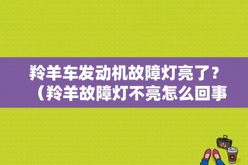 羚羊车发动机故障灯亮了？（羚羊故障灯不亮怎么回事）-图1