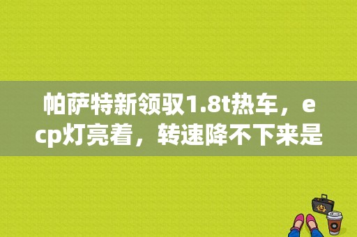 帕萨特新领驭1.8t热车，ecp灯亮着，转速降不下来是什么故障？（帕萨特故障代码ECP图）