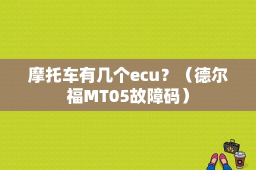 摩托车有几个ecu？（德尔福MT05故障码）-图1