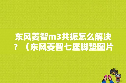 东风菱智m3共振怎么解决？（东风菱智七座脚垫图片）