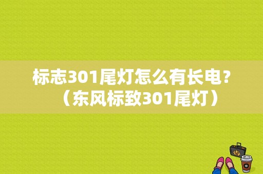 标志301尾灯怎么有长电？（东风标致301尾灯）-图1
