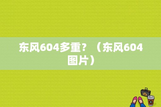东风604多重？（东风604图片）-图1