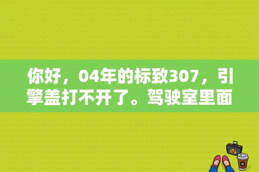 你好，04年的标致307，引擎盖打不开了。驾驶室里面开引擎盖的开关没用了，请问自己怎么样能把引擎盖打？（标致307引擎盖故障灯）-图1
