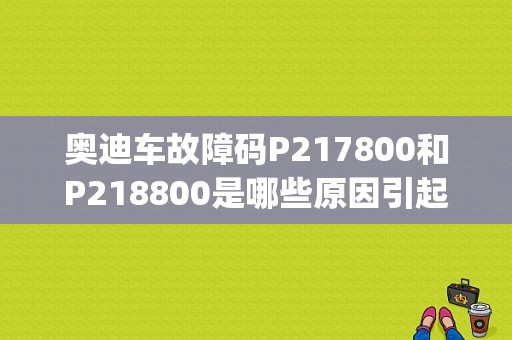 奥迪车故障码P217800和P218800是哪些原因引起的。能具体点最好，非常感谢？（A6L故障码p2178）