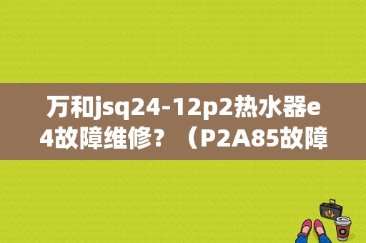 万和jsq24-12p2热水器e4故障维修？（P2A85故障码）-图1