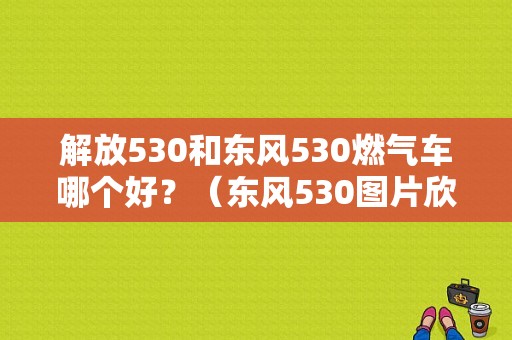 解放530和东风530燃气车哪个好？（东风530图片欣赏）-图1