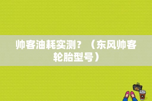 帅客油耗实测？（东风帅客轮胎型号）-图1