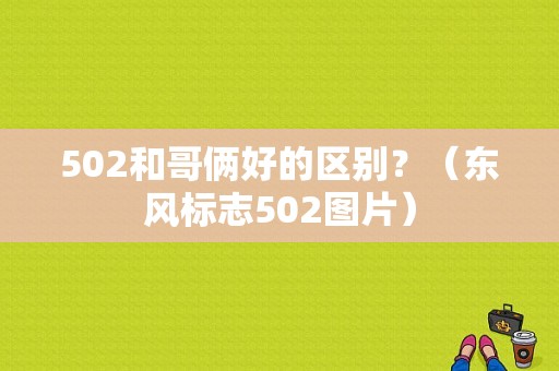 502和哥俩好的区别？（东风标志502图片）-图1
