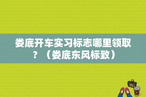 娄底开车实习标志哪里领取？（娄底东风标致）-图2