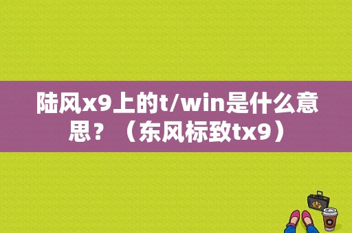 陆风x9上的t/win是什么意思？（东风标致tx9）-图1