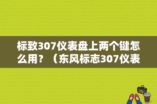 标致307仪表盘上两个键怎么用？（东风标志307仪表盘）-图1