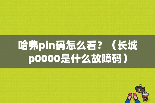 哈弗pin码怎么看？（长城p0000是什么故障码）-图1