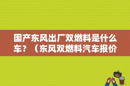 国产东风出厂双燃料是什么车？（东风双燃料汽车报价）-图1