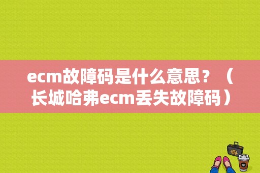 ecm故障码是什么意思？（长城哈弗ecm丢失故障码）-图1