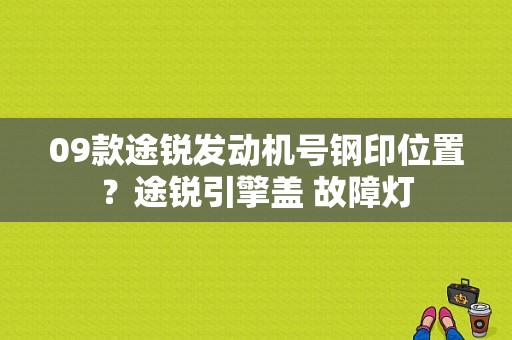 09款途锐发动机号钢印位置？途锐引擎盖 故障灯-图2