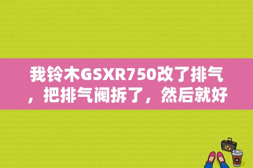我铃木GSXR750改了排气，把排气阀拆了，然后就好亮有没有事情？铃木排气阀故障码-图1
