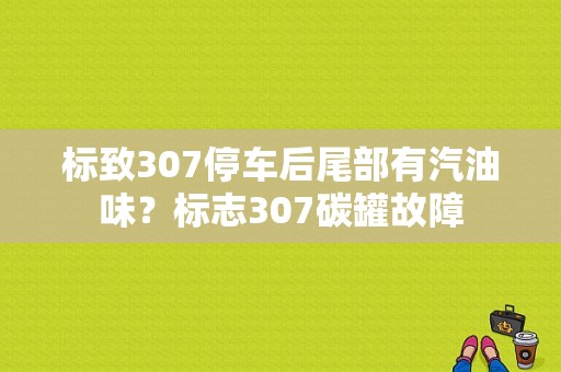 标致307停车后尾部有汽油味？标志307碳罐故障-图1