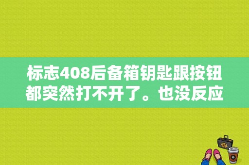 标志408后备箱钥匙跟按钮都突然打不开了。也没反应是怎么回事？标志408后备箱打不开报故障码-图1