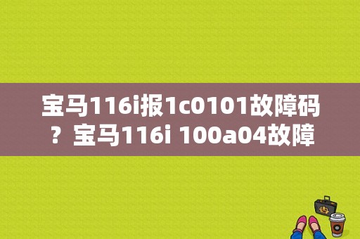 宝马116i报1c0101故障码？宝马116i 100a04故障-图1