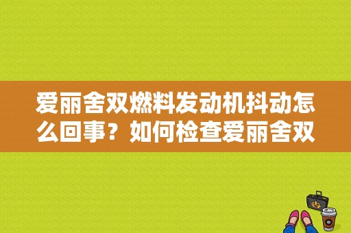 爱丽舍双燃料发动机抖动怎么回事？如何检查爱丽舍双燃料气电脑故障-图1