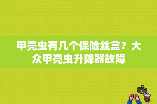 甲壳虫有几个保险丝盒？大众甲壳虫升降器故障-图1