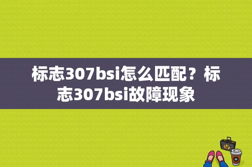 标志307bsi怎么匹配？标志307bsi故障现象-图1