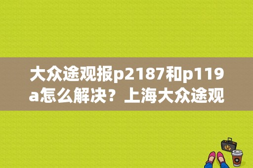大众途观报p2187和p119a怎么解决？上海大众途观报p119a 故障码-图1