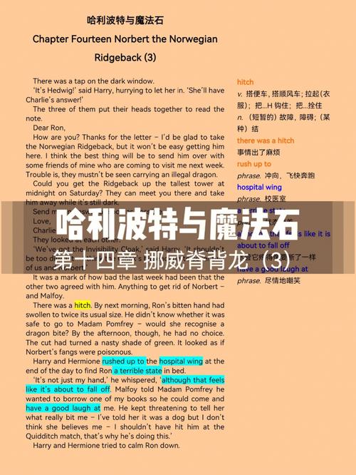 哈利波特主要内容50字?海格梦之旅 故障-图1 哈利波特主要内容50字?海格梦之旅 故障-图1