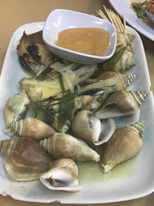 东风螺是淡水还是咸水?(淡水东风4s店)-图2 东风螺是淡水还是咸水?(淡水东风4s店)-图2