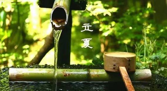 立夏刮东风有什么情况?(立夏东风到)-图4 立夏刮东风有什么情况?(立夏东风到)-图4