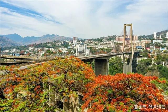攀枝花夏天好玩的地方?(攀枝花东风风光)-图2 攀枝花夏天好玩的地方?(攀枝花东风风光)-图2