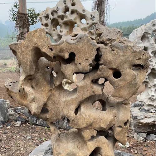 太湖石收藏价值有多大?(方城二手东风天锦)-图4 太湖石收藏价值有多大?(方城二手东风天锦)-图4